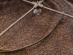 Intelligentsia's Choice